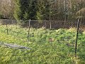 IMG_2864