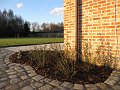 IMG_3454