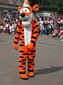 IMG_5152