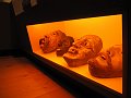IMG_1212