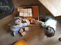 IMG_1230