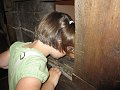 IMG_1231