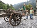 IMG_1262