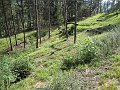 IMG_1273