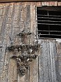 IMG_1294