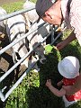 IMG_1563