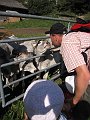 IMG_1564