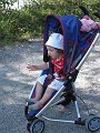 IMG_1569
