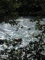 IMG_1571