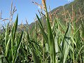IMG_1573