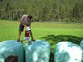 IMG_1589