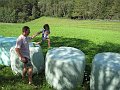 IMG_1594
