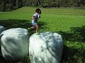 IMG_1595