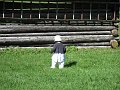 IMG_1622