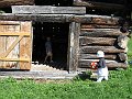 IMG_1624