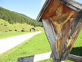 IMG_1631