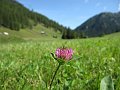 IMG_1639