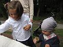 IMG_0853